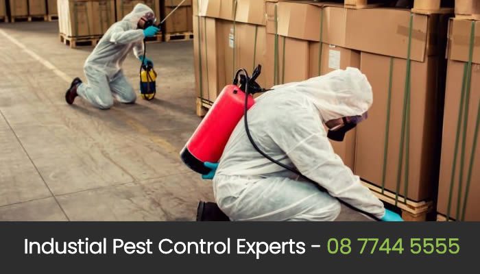 Contact Commercial Pest Control Experts