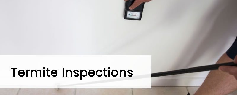 Termite Inspection Perth