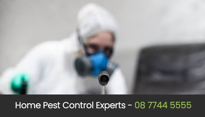 Eco Friendly Pest Control in Perth