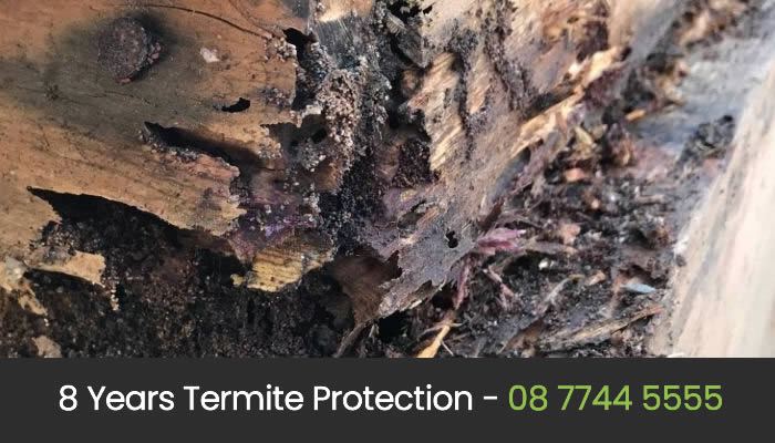 Termite Treatment Perth