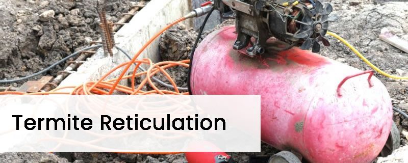 Termite Reticulation Systems Perth