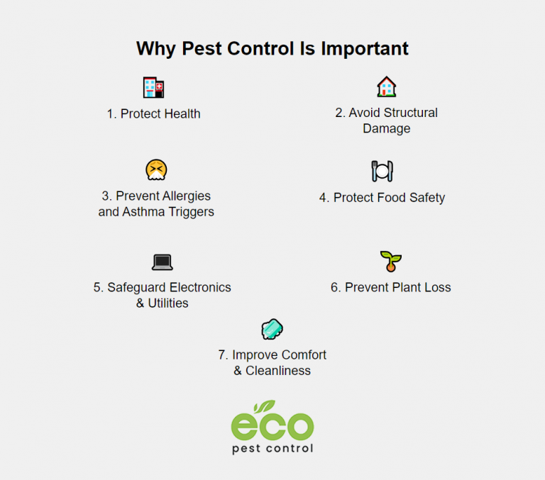 Why Pest Control Is Important 7 Benefits