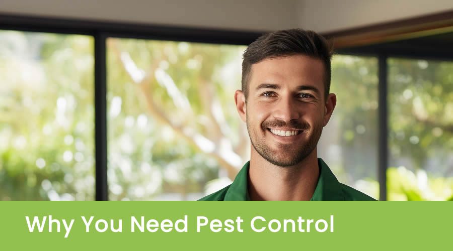 Why Pest Control Is Important