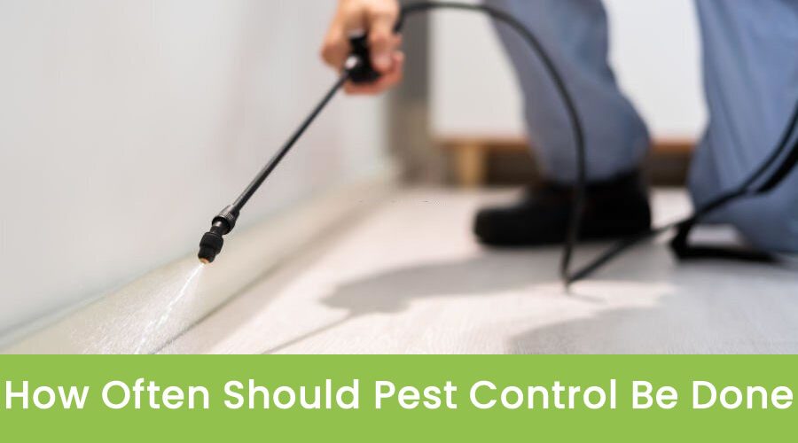 Factors Affecting the Frequency of Pest Control Visits