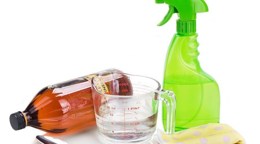 The Dangers of DIY Pest Control Why Professional Help is Essential