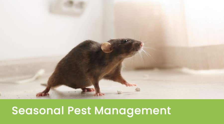 Seasonal Pest Management