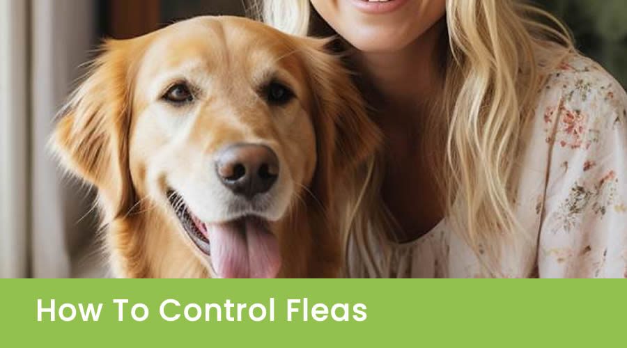 How To Control Fleas