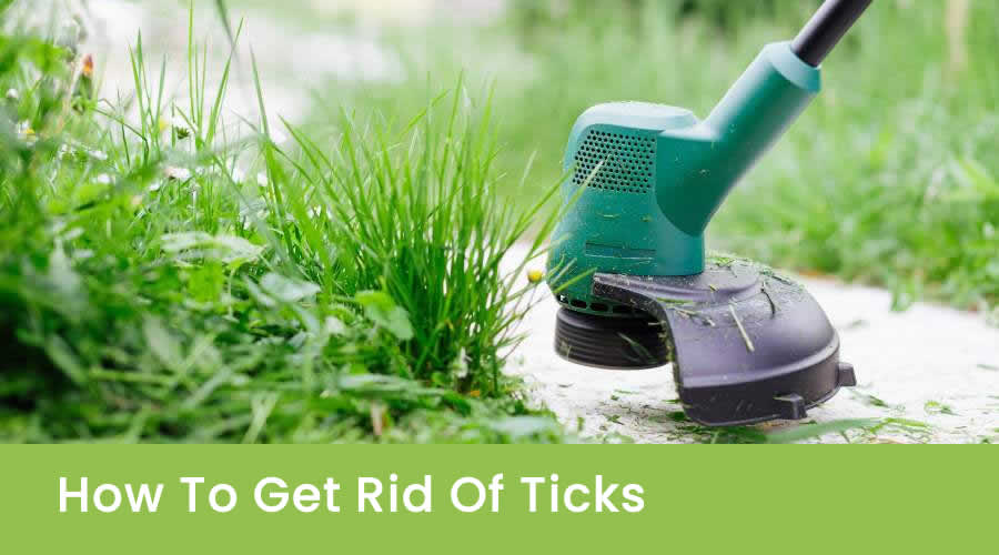 Methods to Keep Your Family Tick-Free