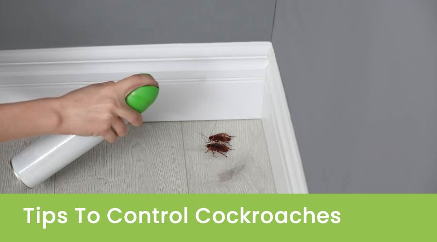 Tips To Control Cockroaches