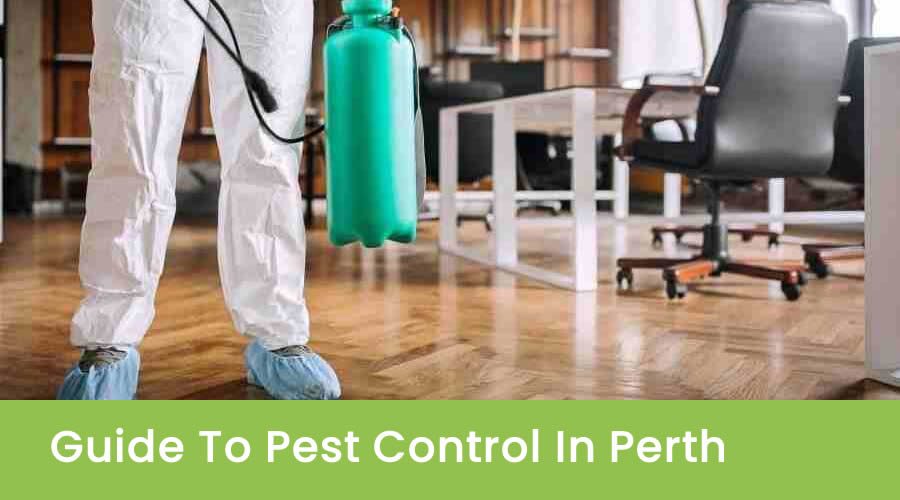 Commercial Pest Management