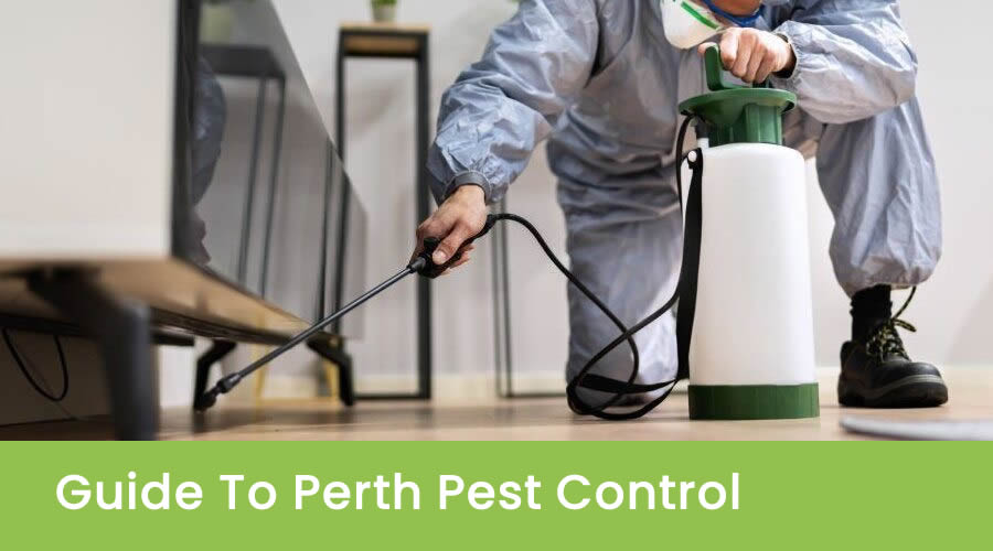 About Perth Pest Control