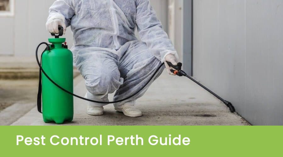 Pest Control Perth Guide