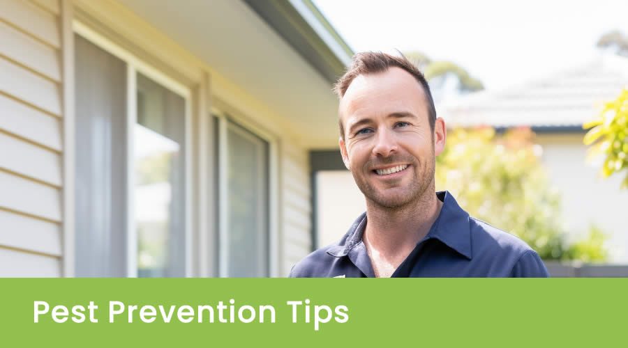 9 Tips To Prevent Pest Infestation