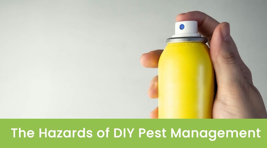 Potential Risks of DIY Pest Management Potential Risks of DIY Pest Management