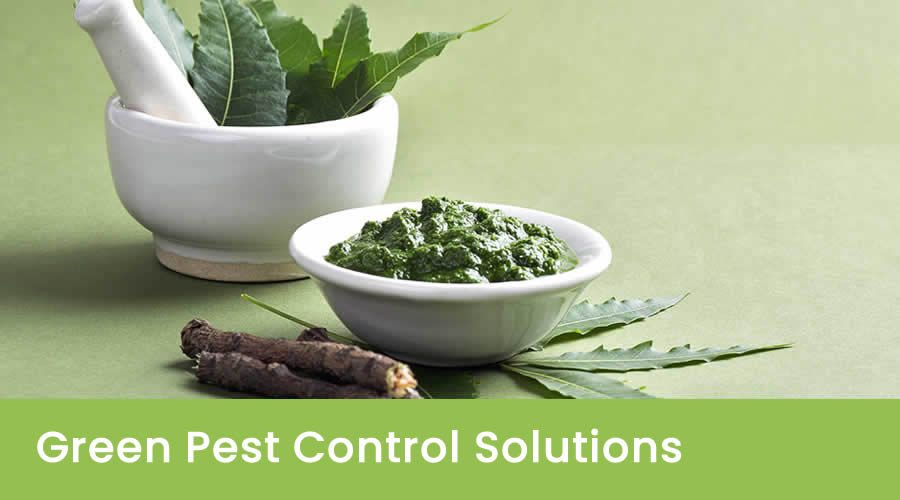 Green Pest Control